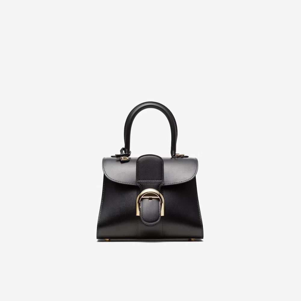 Delvaux Brillant Mini in Box Calf (Black)