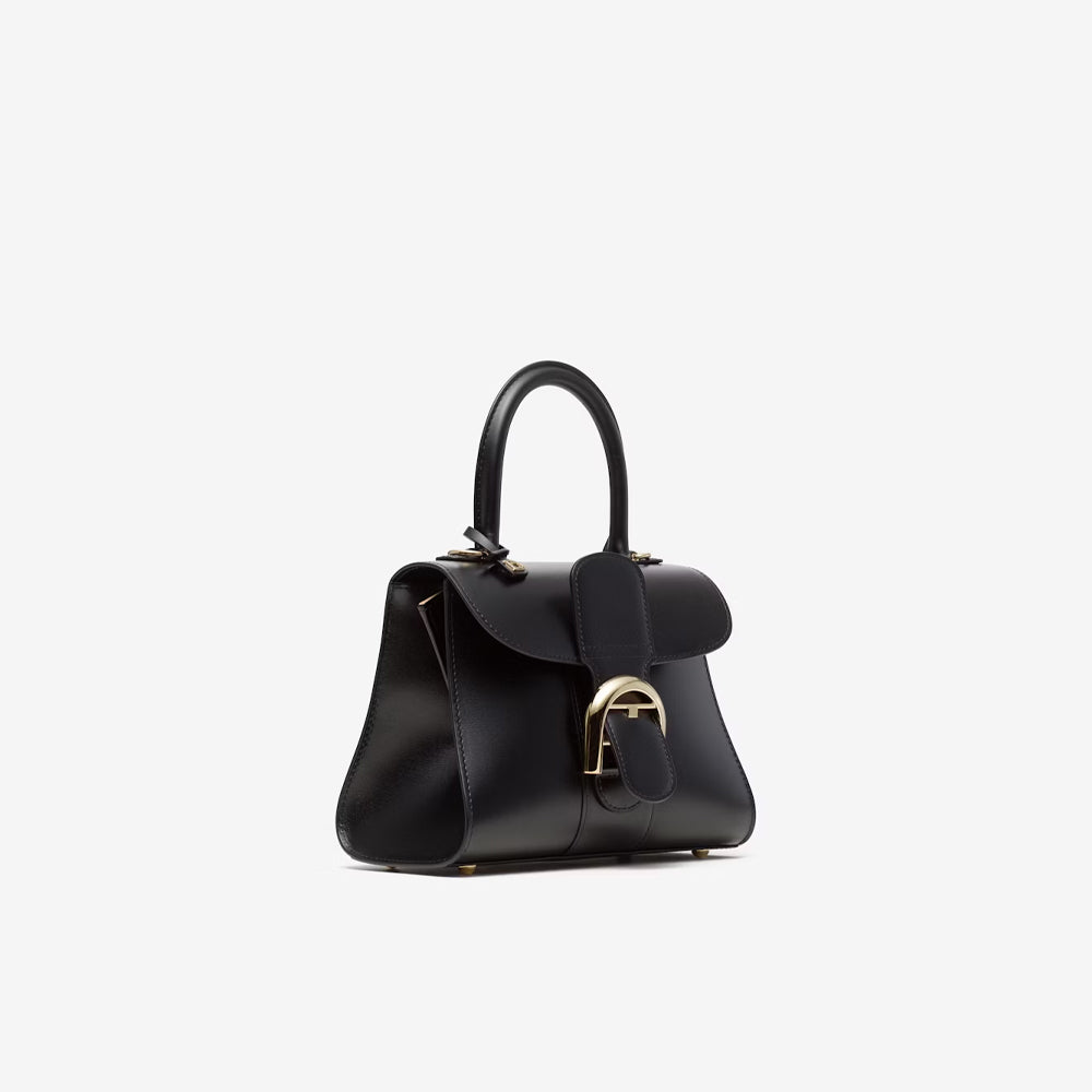 Delvaux Brillant Mini in Box Calf (Black)